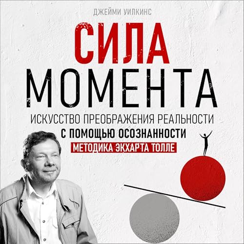 Сила момента [The Power of the Moment] by Jamie Wilkins