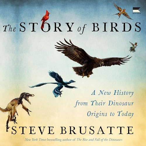 The Story of Birds