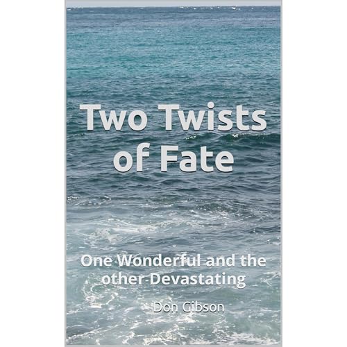Two Twists of Fate by Donald Gibson