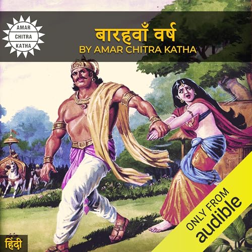 The Twelfth Year (Hindi Edition)