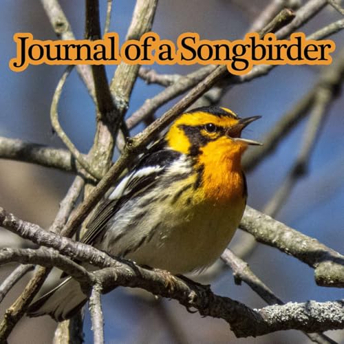 Journal of a Songbirder by Songbirding Studios