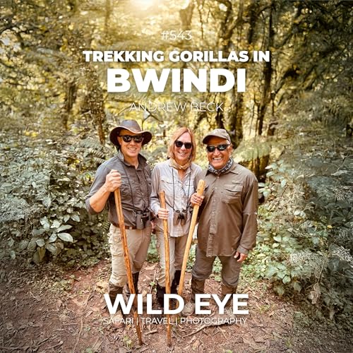 #543 - Trekking Gorillas in Bwindi by Unknown