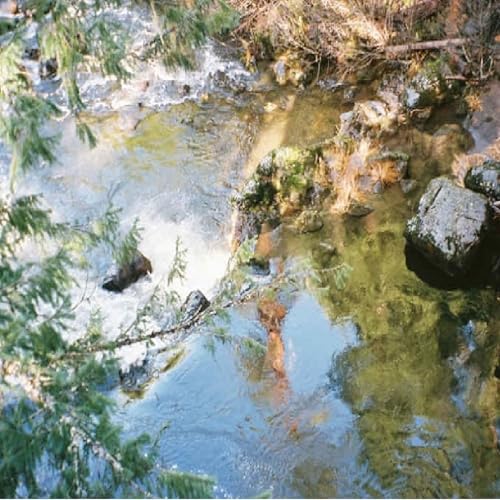 Bible Bard - English