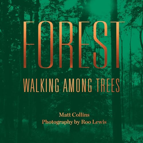 Forest by Matt Collins