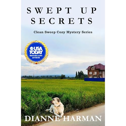 Swept Up Secrets by Dianne Harman
