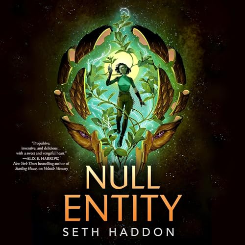 Null Entity by Seth Haddon