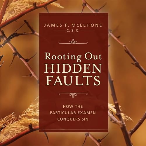 Rooting Out Hidden Faults by James F. McElhone CSC
