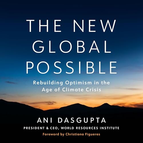 The New Global Possible by Ani Dasgupta
