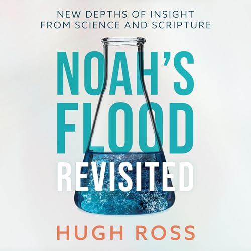 Noah’s Flood Revisited
