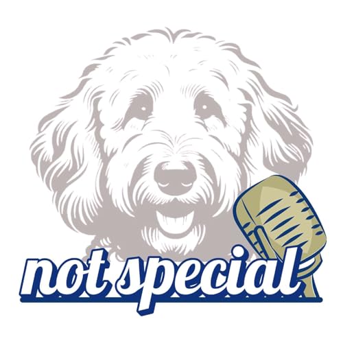 Not Special: A Liberty Speaks Show by Liberty Speaks | Motivational Talks & Honest Conversations