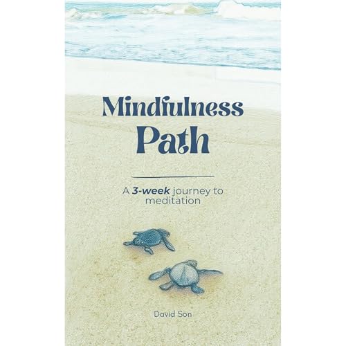Mindfulness Path by David Son