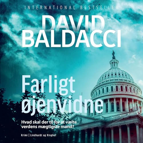 Farligt øjenvidne by David Baldacci