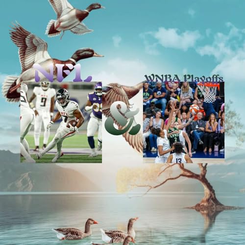 NFL & WNBA Playoffs by Unknown
