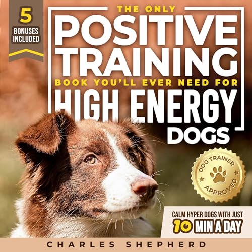 The Only Positive Training Book You’ll Ever Need for High-Energy Dogs