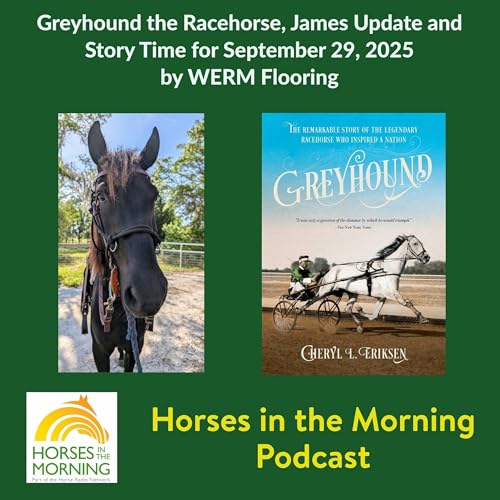 Greyhound the Racehorse, James Update and Story Time for September 29, 2025 by WERM Flooring - Horses in the Morning by Unknown