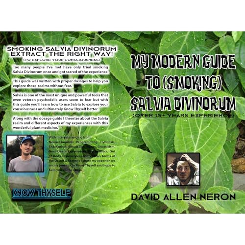 My Modern Guide to (Smoking) Salvia Divinorum
