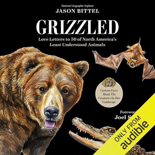 Grizzled by Jason Bittel