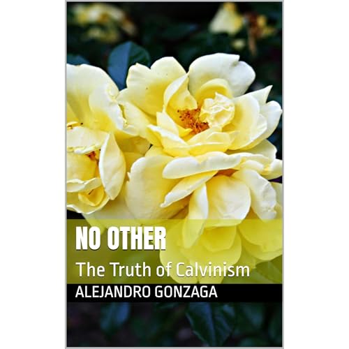 No Other by Alejandro Gonzaga
