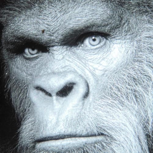 7 TRUE SCARY SPECIAL FORCES HORROR STORIES by Unknown