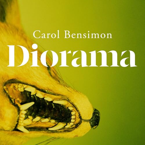 Diorama by Carol Bensimon