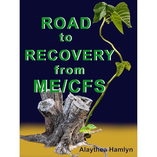 Road to Recovery from ME/CFS by Alaythea Hamlyn