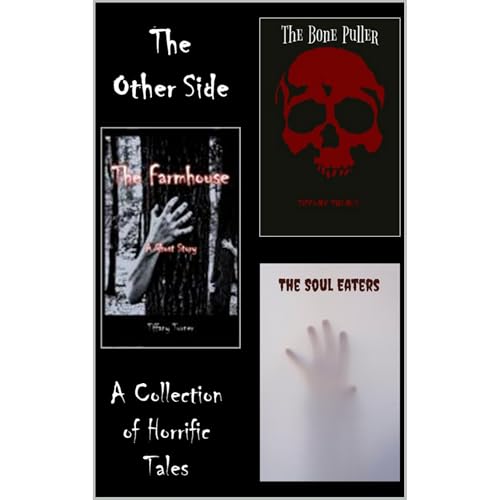 The Other Side by Tiffany Turner