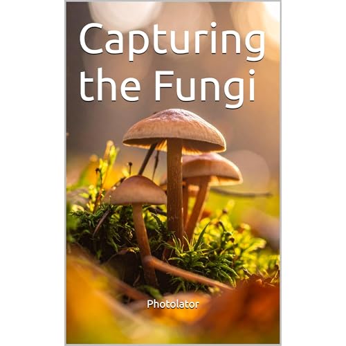 Capturing the Fungi