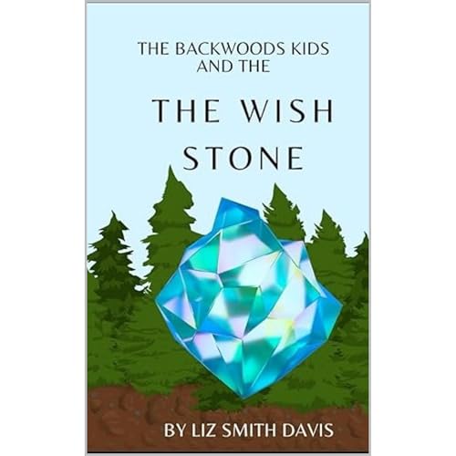 Adventures of The Backwoods Kids- The Wish Stone by Liz Davis