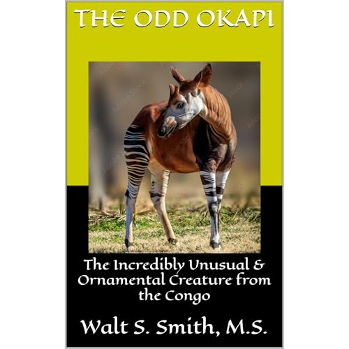 The Odd Okapi by Walt S. Smith