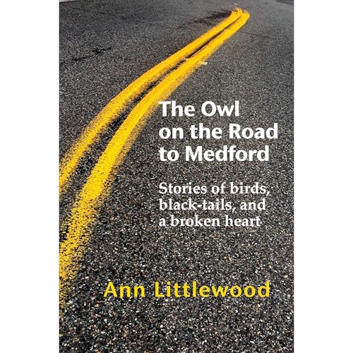 The Owl on the Road to Medford by Ann Littlewood