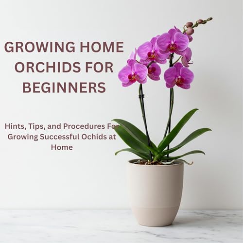 Growing Home Orchids for Beginners