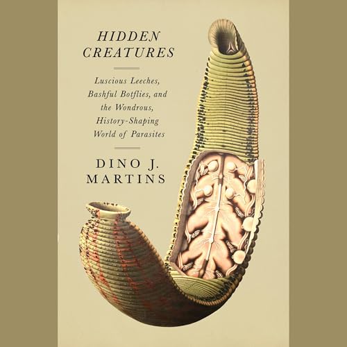 Hidden Creatures by Dino Martins