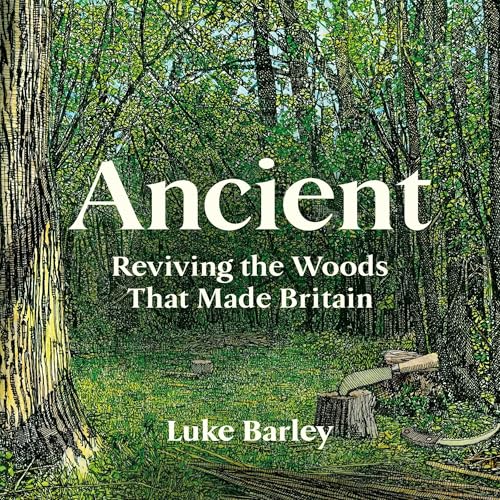 Ancient by Luke Barley