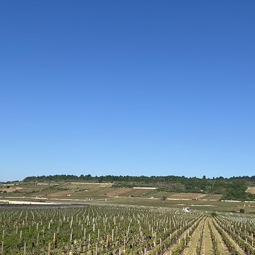 Global Routes: Your Personal Travel Companion by Zen-Bonsai