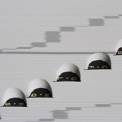 Diving Into the Modern Dictionary with Stefan Fatsis by Unknown