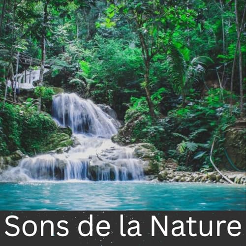 Sons de la Nature by International Ambient Sounds