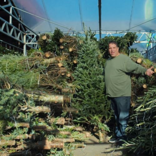 Merchants of Joy' Follows NYC Christmas Tree Sellers by Unknown