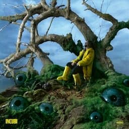 incubi lucidi: backstage del disco by Nitro