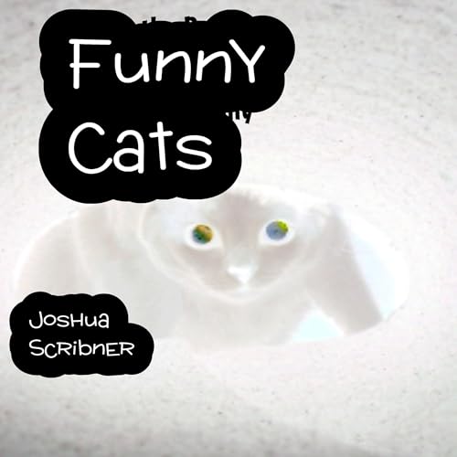 Funny Cats
