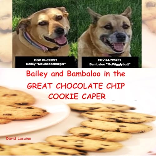Bailey and Bambaloo in the Great Chocolate Chip Cookie Caper by David Lasaine