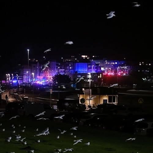 Local rabbi reacts to "horrifying" attack on Australia Hanukkah celebration by Unknown