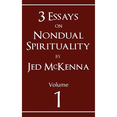 3 Essays on Nondual Spirituality by Jed McKenna by Jed McKenna