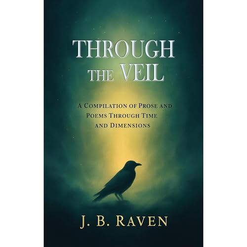 Through the Veil by J. B. Raven