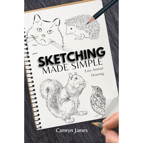 Sketching Made Simple by Camryn James