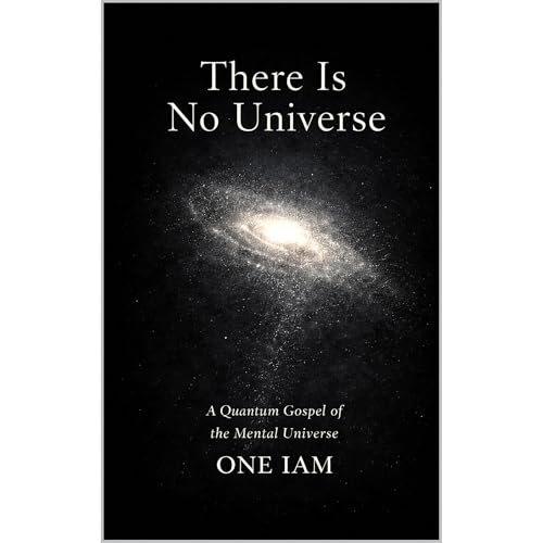 There Is No Universe