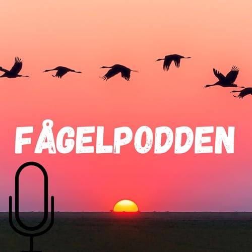 Fågelpodden by Magnus Olsson