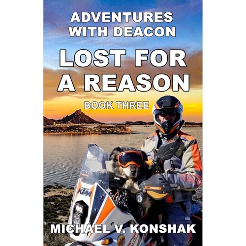 Lost For A Reason by Michael Konshak