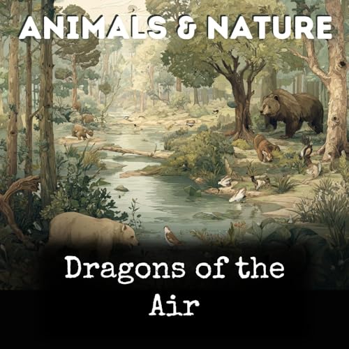 Dragons of the Air by Ernest Thompson Seton