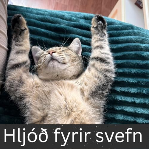 Hljóð fyrir svefn by International Ambient Sounds