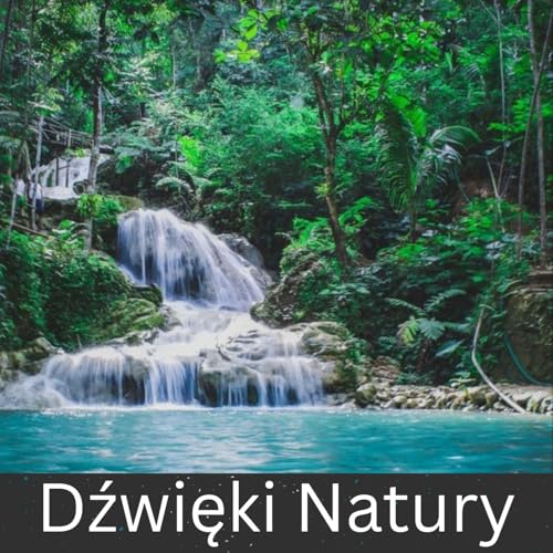 Dźwięki Natury by International Ambient Sounds